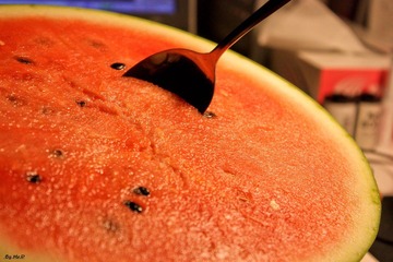 IMG_1111.jpg