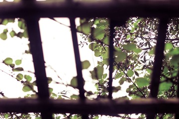 DSC09237-1.jpg