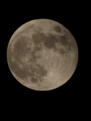 C8E30F61-B885-48A0-932E-07395F07DDAA/L0/001