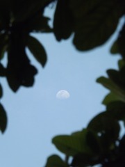 F7AFFA7B-02B6-4806-A995-FE70755460B7/L0/001