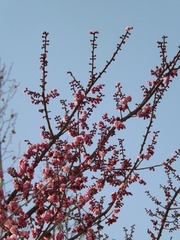 920D12E8-76FA-4D45-BA11-A0F653B3BDB4/L0/001