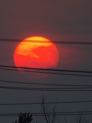 DD5BD114-ED85-42B9-B173-D4BF2561F48C/L0/001