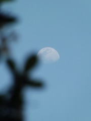 AB77675C-2C17-44EE-BC91-4F394D48A3C2/L0/001