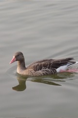 8C0728BE-D7BF-4AFB-8294-7C4E8252AE71/L0/001