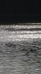 48A98B90-A39F-4B65-95FC-9DD6010C5079/L0/001