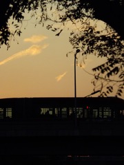 565DFD0E-D254-4CB3-A798-5031BF84F778/L0/001