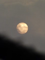 076141E7-EE94-4B8D-8857-C033E2164DBF/L0/001
