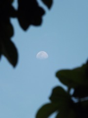 93927C1C-F023-4A53-998A-CFFD33469418/L0/001