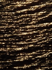 D4A53458-87F5-48B4-A805-C88FB85E09EB/L0/001