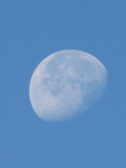 DA079D4C-D381-497E-AB1C-10C969C6CB09/L0/001