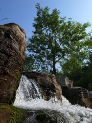 R0012442.JPG