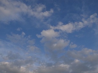 R0012586.JPG