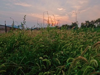 _0014693.jpg