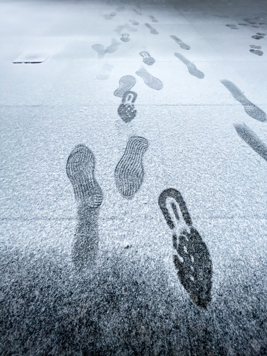 上班途中偶遇第一场雪