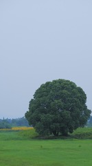 89954A43-F01A-4003-AF29-DF2B00AB4761/L0/001