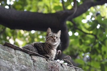 眺望_7756_ztx_调整大小.jpg