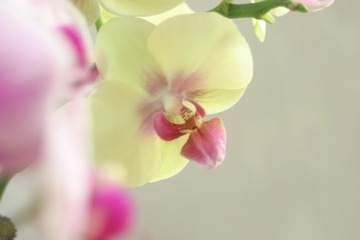 A104EC2B-6B2D-4462-BD11-B3367E2947F0/L0/001