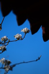 025FE892-5170-4810-B7F5-7992748209A6/L0/001