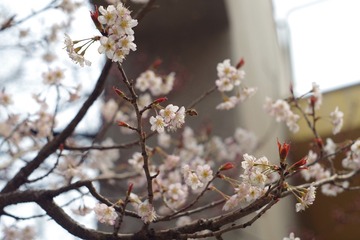 76F48A93-3F27-4AC1-B63B-0D47C2E95EAD/L0/001