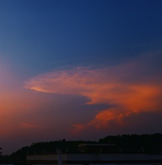 5240A438-F16E-46D7-9020-71B4A351C09D/L0/001