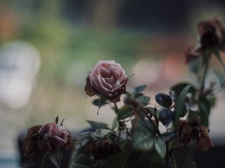 F7228C58-55A7-4BCB-87FC-B662D8CB82E0/L0/001