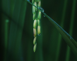 66CA7050-DF45-4677-AAF1-35C8AD71B0DF/L0/001