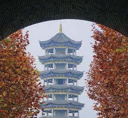CE477525-6C1C-4BF0-BBCE-003685F09CC5/L0/001