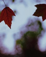 01D8F6CE-D0A4-4184-B471-21E5C0427C26/L0/001