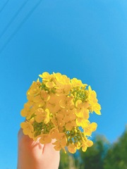B751C1AA-F006-490C-B549-3D2EDBF30401/L0/001