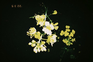 2E199D8E-EE83-4D96-BF02-1000FE193720/L0/001
