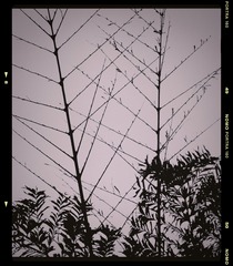 4D81D87C-B97F-4B00-9303-A7D2BE1A7860/L0/001