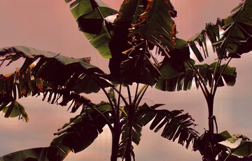 F1A9077B-00C1-4BDF-AC3D-4E313677A9DB/L0/001