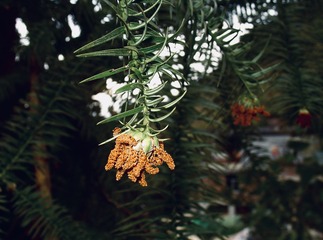 F3EE1D4C-332D-4DB6-8DFB-A9173B27D7DD/L0/001