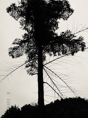 790F0BA9-C2A2-4552-9454-0818B67DEE33/L0/001
