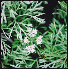 DAC486D8-464F-4E0D-B9C8-5FE93C5EE1D5/L0/001