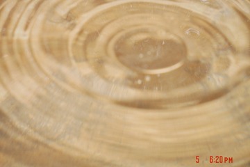 24A4D6FC-EF6E-4198-A3D4-FC15A1C8FC45/L0/001