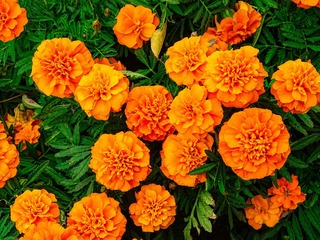 13EDF1AB-BD75-4DA5-B689-718375F345F4/L0/001