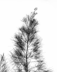 87AD3347-9A7C-41B4-8B00-3F8F0307D0C0/L0/001