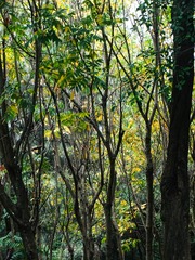 B8899B72-5FF1-40ED-998B-42983DCD8C82/L0/001