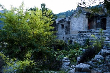 DSC_6479.JPG