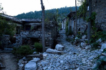 DSC_6490.JPG