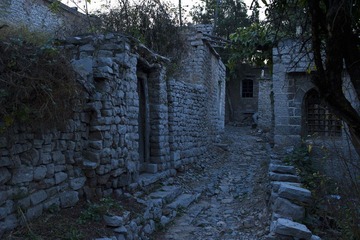 DSC_6503.JPG