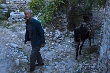 DSC_6504.JPG
