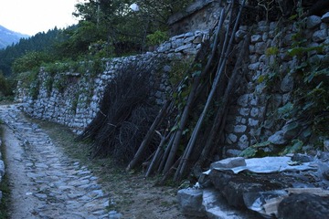 DSC_6511.JPG