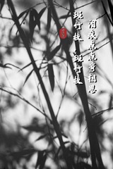 BA81F56F-0A92-4B47-A3C1-EC27898C62BF/L0/001