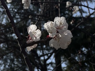 56EAB3C3-B827-4D09-832B-7B05B52E5464/L0/001