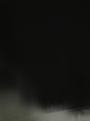 233407