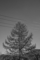 1CEC7E77-40FD-465C-9583-A86B2618BC4B/L0/001