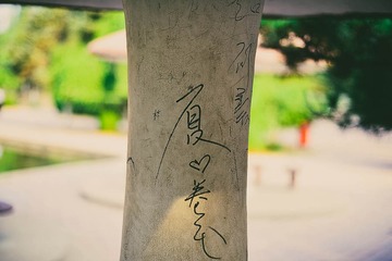 _DSC6008