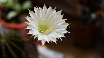_DSC7470